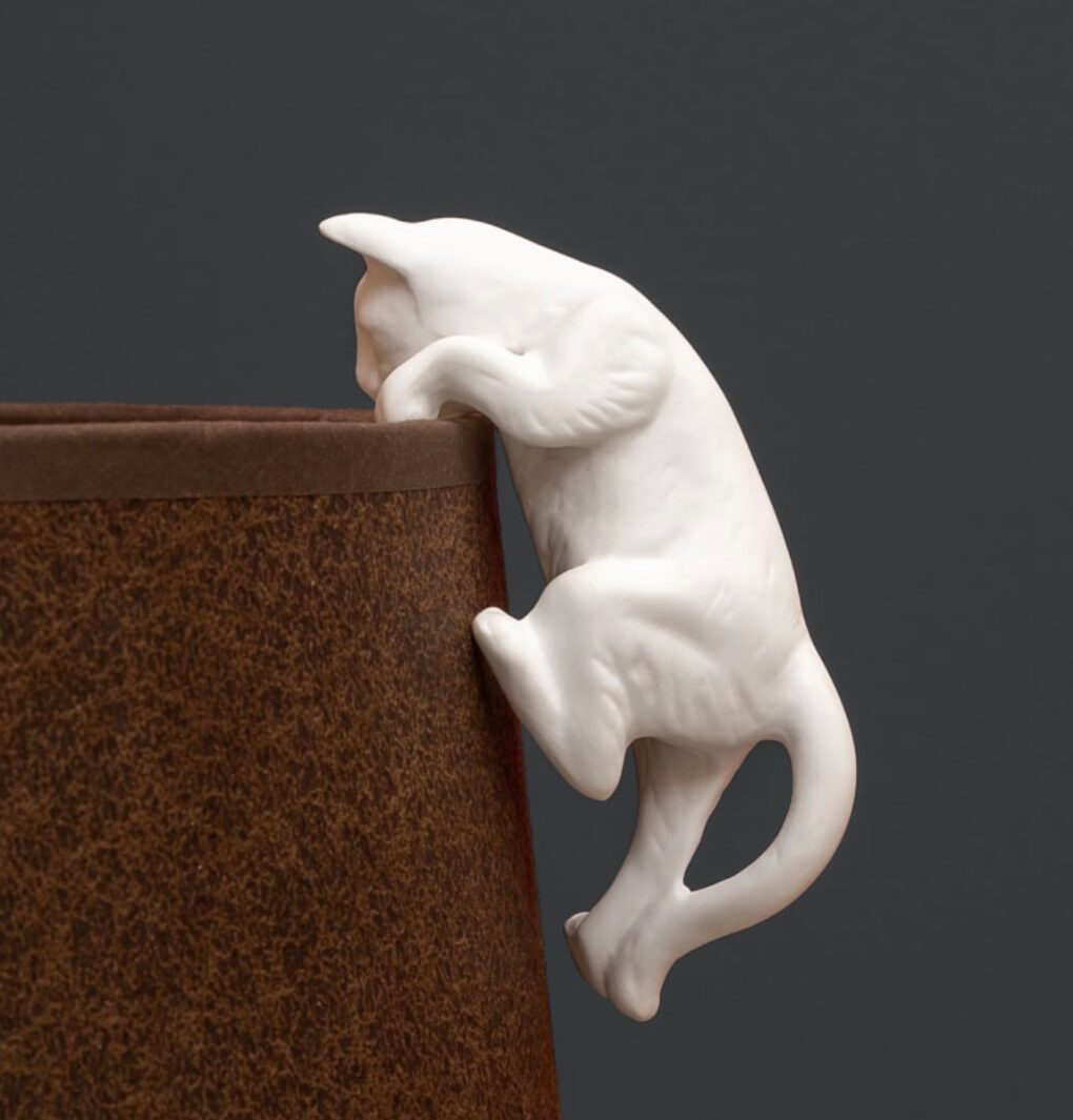 Gatto arrampicato